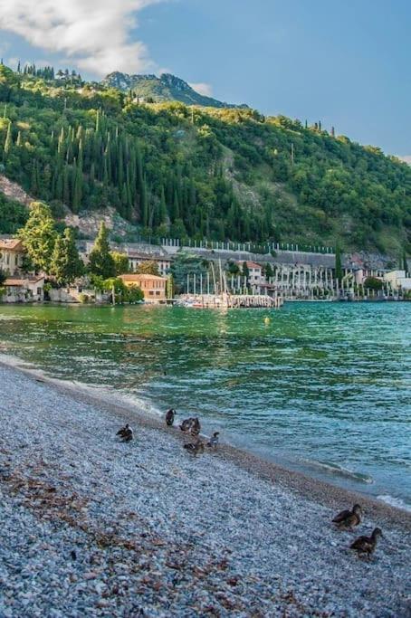 Alloggio Con Idromassaggio E Super Vista Nave San Felice Экстерьер фото