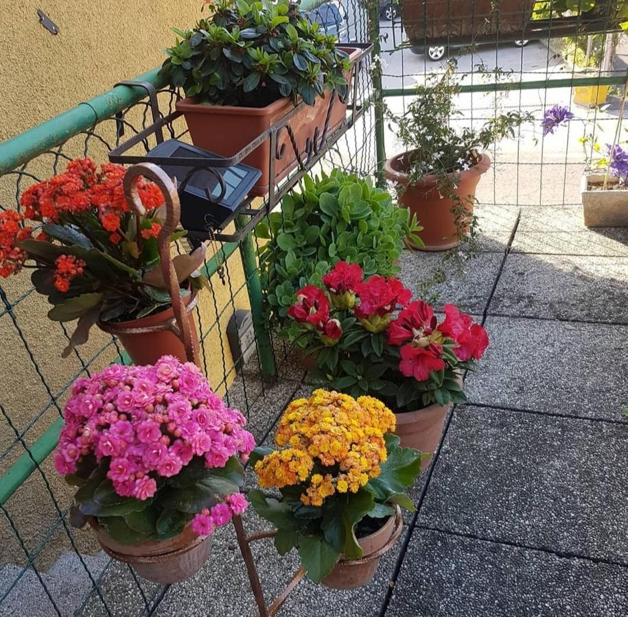 Alloggio Con Idromassaggio E Super Vista Nave San Felice Экстерьер фото